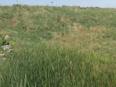 Stormwater Management